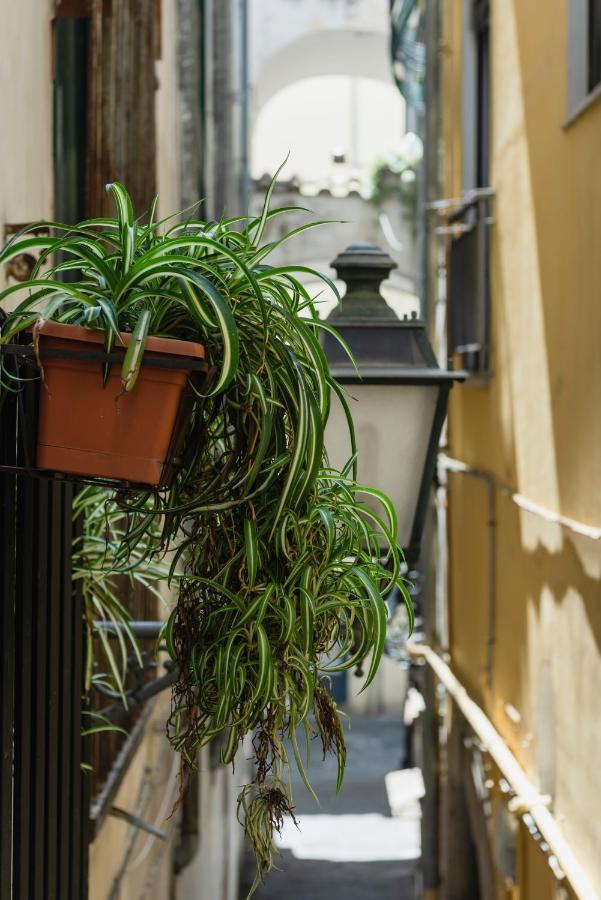 La Casa Degli Angeli *